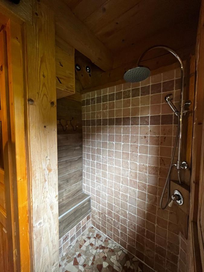 Chalet le Pré de la Dame Epagny Metz-Tessy Esterno foto